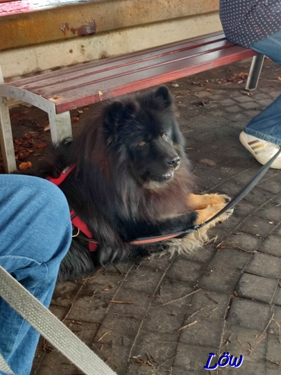 20.4.2025 - Genug - Gute Luft